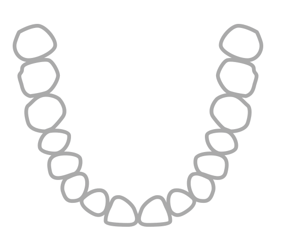 Primescan-Bild-Webseite1